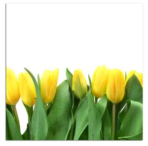 Slika na platnu - Žuti tulipani - kvadrat 303A (50x50 cm)