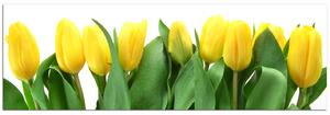 Slika na platnu - Žuti tulipani - panorama 503A (105x35 cm)