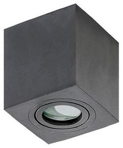 Azzardo AZ2878 - Stropna svjetiljka za kupaonicu BRANT 1xGU10/50W/230V IP44