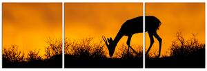 Slika na platnu - Slika na platnu - Silueta antilope - panorama 5913C (150x50 cm)