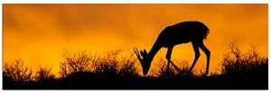 Slika na platnu - Slika na platnu - Silueta antilope - panorama 5913A (105x35 cm)