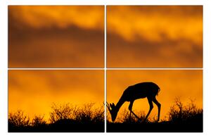 Slika na platnu - Silueta antilope 1913D (150x100 cm)