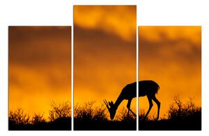 Slika na platnu - Silueta antilope 1913C (150x100 cm)