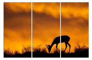 Slika na platnu - Silueta antilope 1913B (150x100 cm)