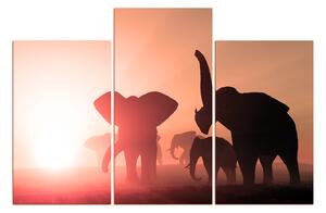Slika na platnu - slonovi 1916FC (150x100 cm)