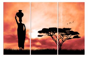 Slika na platnu - Afrička žena 1920FB (150x100 cm)