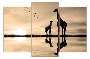 Slika na platnu - Silueta žirafe 1919FC (105x70 cm)