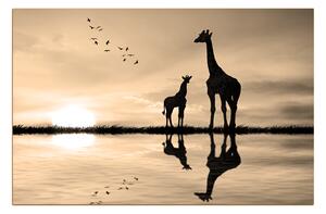 Slika na platnu - Silueta žirafe 1919FA (90x60 cm )