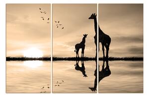 Slika na platnu - Silueta žirafe 1919FB (120x80 cm)