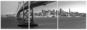 Slika na platnu - San Francisco - panorama 5923ČB (90x30 cm)