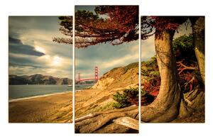 Slika na platnu - Golden Gate Bridge 1922FC (120x80 cm)