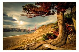 Slika na platnu - Golden Gate Bridge 1922FA (120x80 cm)