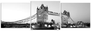 Slika na platnu - Tower Bridge - panorama 530ČD (150x50 cm)