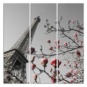 Slika na platnu - Eiffelov toranj u proljeće - kvadrat 334ČB (75x75 cm)