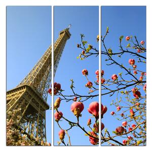 Slika na platnu - Eiffelov toranj u proljeće - kvadrat 334B (75x75 cm)