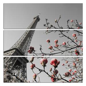Slika na platnu - Eiffelov toranj u proljeće - kvadrat 334ČC (75x75 cm)