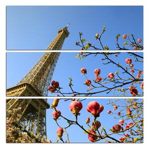 Slika na platnu - Eiffelov toranj u proljeće - kvadrat 334C (75x75 cm)