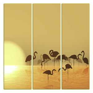 Slika na platnu - Silueta flaminga - kvadrat 332KB (75x75 cm)