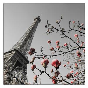 Slika na platnu - Eiffelov toranj u proljeće - kvadrat 334ČA (50x50 cm)