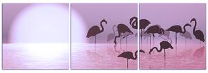 Slika na platnu - Silueta flaminga - panorama 532FB (90x30 cm)