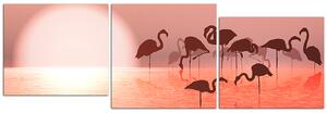 Slika na platnu - Silueta flaminga - panorama 532D (90x30 cm)