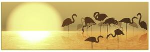 Slika na platnu - Silueta flaminga - panorama 532KA (105x35 cm)
