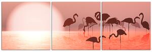 Slika na platnu - Silueta flaminga - panorama 532B (90x30 cm)