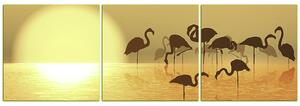 Slika na platnu - Silueta flaminga - panorama 532KB (150x50 cm)