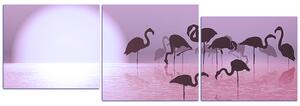 Slika na platnu - Silueta flaminga - panorama 532FD (90x30 cm)