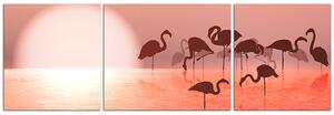 Slika na platnu - Silueta flaminga - panorama 532C (90x30 cm)