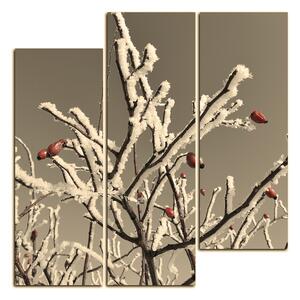 Slika na platnu - Plod divlje ruže prekriven snijegom - kvadrat 346ČC (75x75 cm)