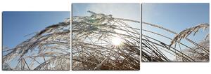 Slika na platnu - Zimsko jutro - panorama 545D (90x30 cm)