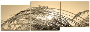 Slika na platnu - Zimsko jutro - panorama 545FD (150x50 cm)