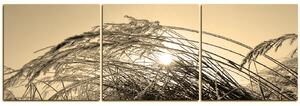 Slika na platnu - Zimsko jutro - panorama 545FB (90x30 cm)