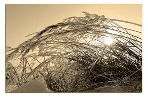 Slika na platnu - Zimsko jutro 145FA (90x60 cm )