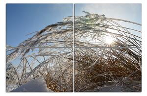 Slika na platnu - Zimsko jutro 145D (90x60 cm)