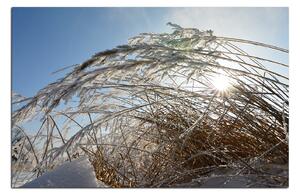 Slika na platnu - Zimsko jutro 145A (120x80 cm)