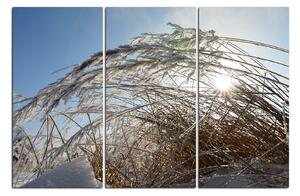 Slika na platnu - Zimsko jutro 145B (90x60 cm )