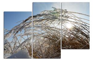 Slika na platnu - Zimsko jutro 145C (120x80 cm)