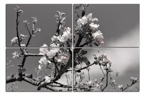 Slika na platnu - Procvjetalo stablo jabuke 147ČD (90x60 cm)