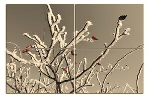 Slika na platnu - Plod divlje ruže prekriven snijegom 146ČD (150x100 cm)