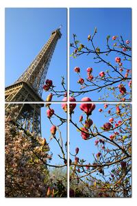 Slika na platnu - Eiffelov toranj u proljeće - pravokutnik 734D (120x80 cm)