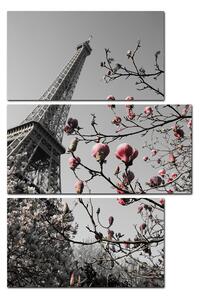 Slika na platnu - Eiffelov toranj u proljeće - pravokutnik 734ČC (90x60 cm)