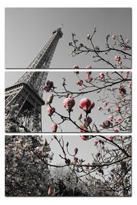 Slika na platnu - Eiffelov toranj u proljeće - pravokutnik 734ČB (90x60 cm )