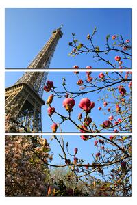 Slika na platnu - Eiffelov toranj u proljeće - pravokutnik 734B (90x60 cm )