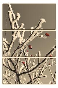 Slika na platnu - Plod divlje ruže prekriven snijegom - pravokutnik 746ČB (90x60 cm )
