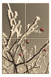 Slika na platnu - Plod divlje ruže prekriven snijegom - pravokutnik 746ČC (90x60 cm)