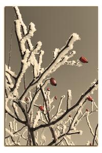 Slika na platnu - Plod divlje ruže prekriven snijegom - pravokutnik 746ČA (90x60 cm )