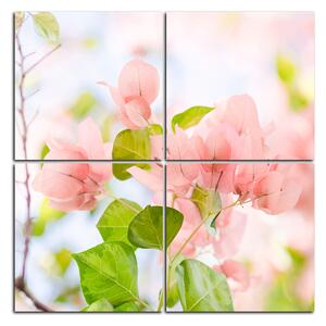 Slika na platnu - Papirnato cvijeće bugenvilije - kvadrat 357D (60x60 cm)