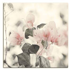 Slika na platnu - Papirnato cvijeće bugenvilije - kvadrat 357FA (50x50 cm)